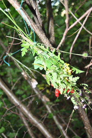 Catéchisme | Camp de catéchisme, 2014